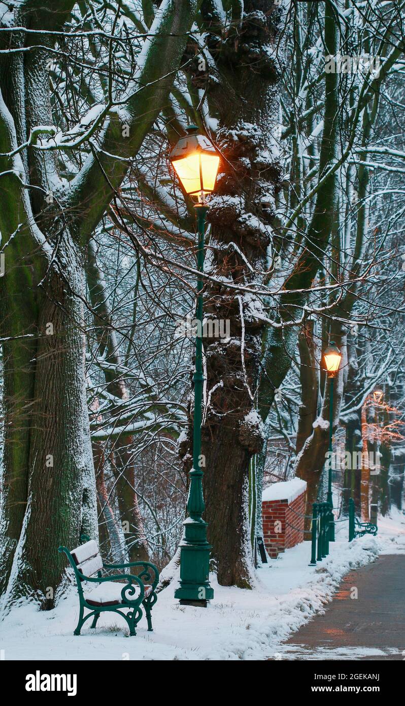 Snow covered alley benches hi-res stock photography and images - Alamy
