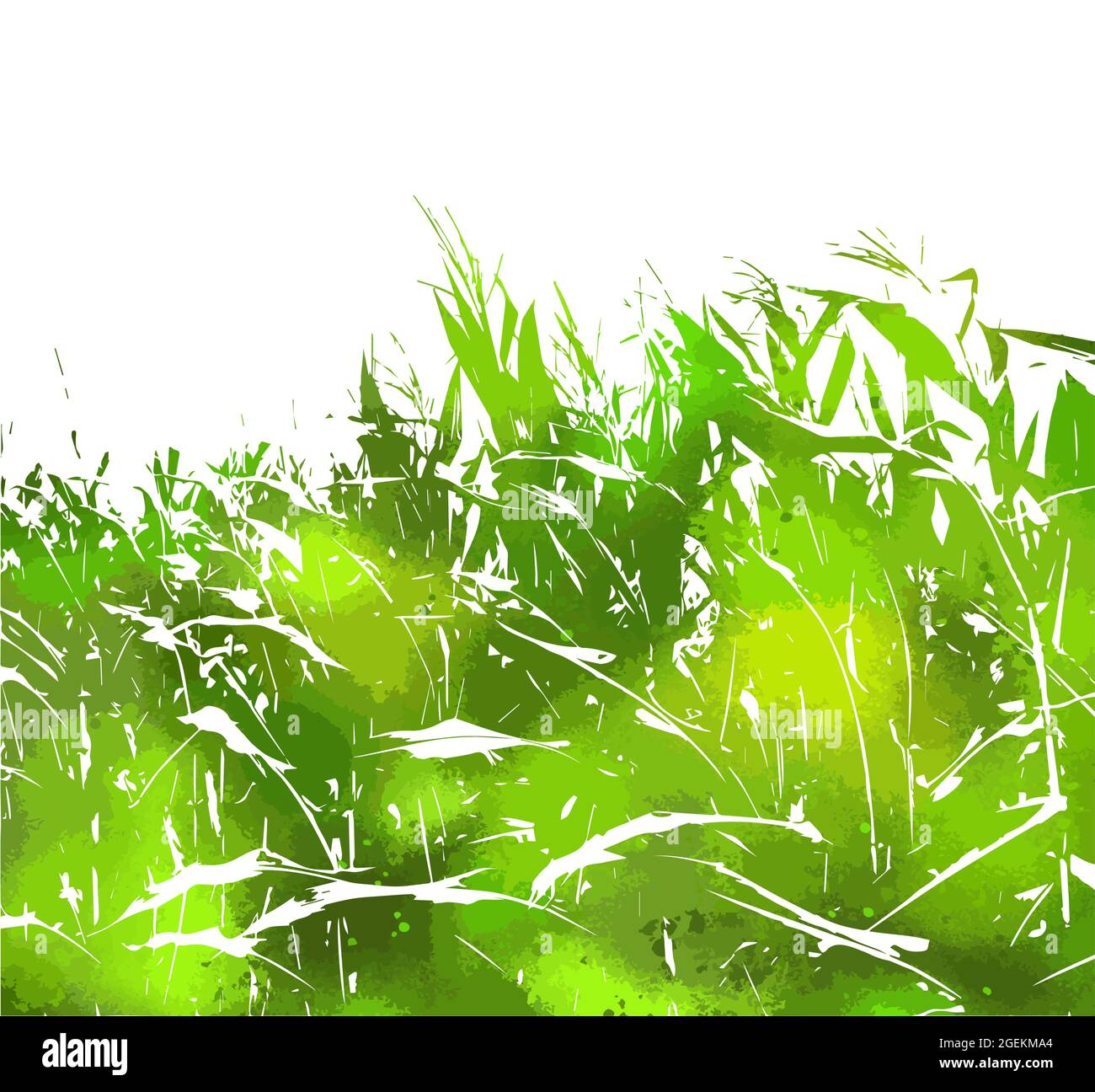 Green Corn field. Silhouettes of nature. Vector illustration Stock Vector Image & Art Alamy