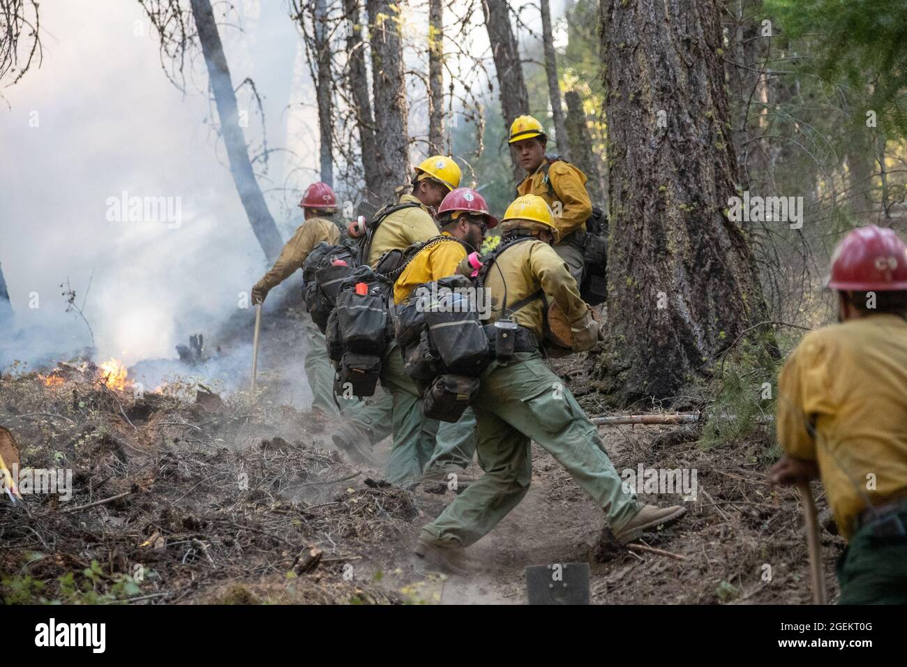Greenville, USA. 20th Aug, 2021. Firefighters work in an area hit by the Dixie Fire near Greenville town in Northern California, the United States, on Aug. 19, 2021. The Dixie Fire has burned more than 700,000 acres as of Friday afternoon in remote Northern California. Credit: Dong Xudong/Xinhua/Alamy Live News Stock Photo