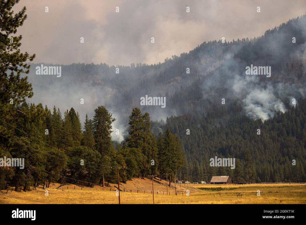 Greenville, USA. 20th Aug, 2021. Photo taken on Aug. 19, 2021 shows an area hit by the Dixie Fire near Greenville town in Northern California, the United States. The Dixie Fire has burned more than 700,000 acres as of Friday afternoon in remote Northern California. Credit: Dong Xudong/Xinhua/Alamy Live News Stock Photo