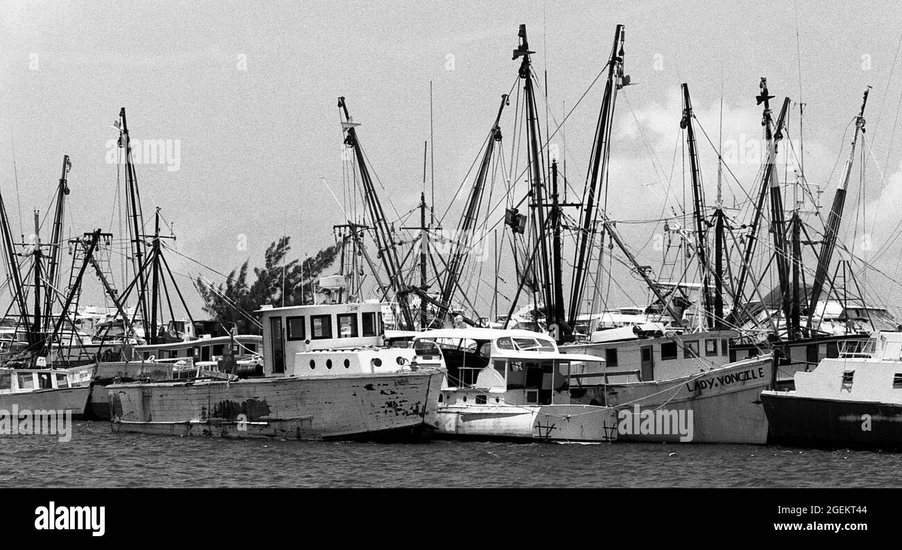 AJAXNETPHOTO. MAY, 1981. KEY WEST, FLA, USA. - IMPOUNDED MARIEL BOATS - SOME OF THE MORE THAN 1,400 BOATS USED IN THE CUBAN MARIEL BOAT-LIFT ESCAPING REFUGEE EXODUS BETWEEN APRIL AND OCTOBER 1980 FROM CUBA TO THE FLORIDA KEYS AFTER BEING IMPOUNDED BY U.S. COASTGUARD AND CUSTOMS IN THE HARBOUR AND STREWN ON THE WHARFS. THE BOATS BROUGHT APPROXIMATELY 125,000 FLEEING CUBANS TO THE USA.PHOTO:JONATHAN EASTLAND/AJAX REF:812805 17A 49 Stock Photo