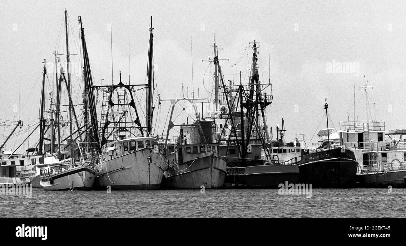 AJAXNETPHOTO. MAY, 1981. KEY WEST, FLA, USA. - IMPOUNDED MARIEL BOATS - SOME OF THE MORE THAN 1,400 BOATS USED IN THE CUBAN MARIEL BOAT-LIFT ESCAPING REFUGEE EXODUS BETWEEN APRIL AND OCTOBER 1980 FROM CUBA TO THE FLORIDA KEYS AFTER BEING IMPOUNDED BY U.S. COASTGUARD AND CUSTOMS IN THE HARBOUR AND STREWN ON THE WHARFS. THE BOATS BROUGHT APPROXIMATELY 125,000 FLEEING CUBANS TO THE USA.PHOTO:JONATHAN EASTLAND/AJAX REF:812805 18 50 Stock Photo