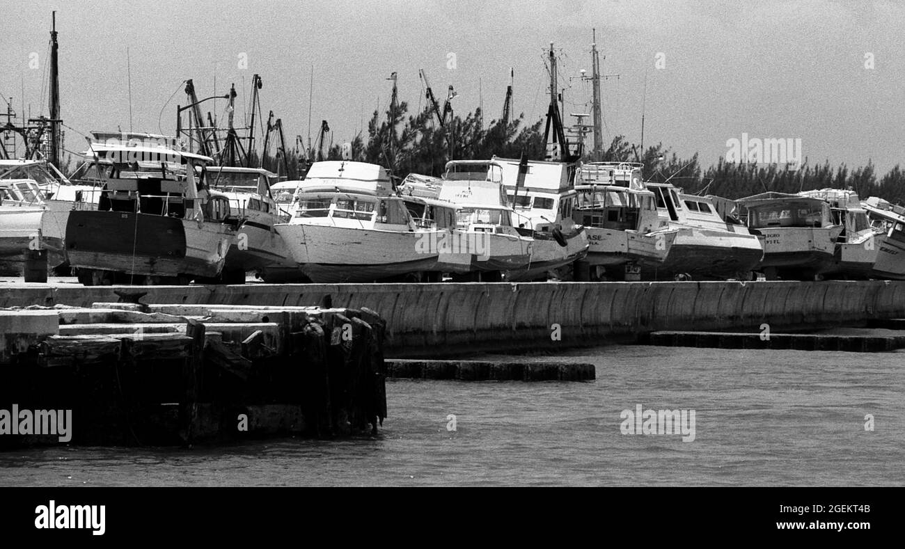 AJAXNETPHOTO. MAY, 1981. KEY WEST, FLA, USA. - IMPOUNDED MARIEL BOATS - SOME OF THE MORE THAN 1,400 BOATS USED IN THE CUBAN MARIEL BOAT-LIFT ESCAPING REFUGEE EXODUS BETWEEN APRIL AND OCTOBER 1980 FROM CUBA TO THE FLORIDA KEYS AFTER BEING IMPOUNDED BY U.S. COASTGUARD AND CUSTOMS STREWN ON THE WHARFS. THE BOATS BROUGHT APPROXIMATELY 125,000 FLEEING CUBANS TO THE USA.PHOTO:JONATHAN EASTLAND/AJAX REF:812805 22 7 Stock Photo