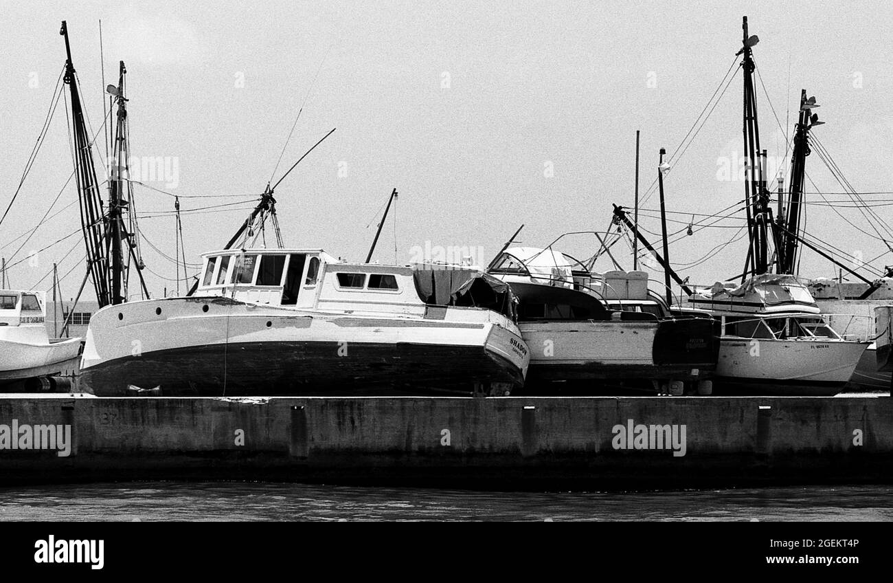 AJAXNETPHOTO. MAY, 1981. KEY WEST, FLA, USA. - IMPOUNDED MARIEL BOATS - SOME OF THE MORE THAN 1,400 BOATS USED IN THE CUBAN MARIEL BOAT-LIFT ESCAPING REFUGEE EXODUS BETWEEN APRIL AND OCTOBER 1980 FROM CUBA TO THE FLORIDA KEYS AFTER BEING IMPOUNDED BY U.S. COASTGUARD AND CUSTOMS STREWN ON THE WHARFS. THE BOATS BROUGHT APPROXIMATELY 125,000 FLEEING CUBANS TO THE USA.PHOTO:JONATHAN EASTLAND/AJAX REF:812805 27 2 Stock Photo