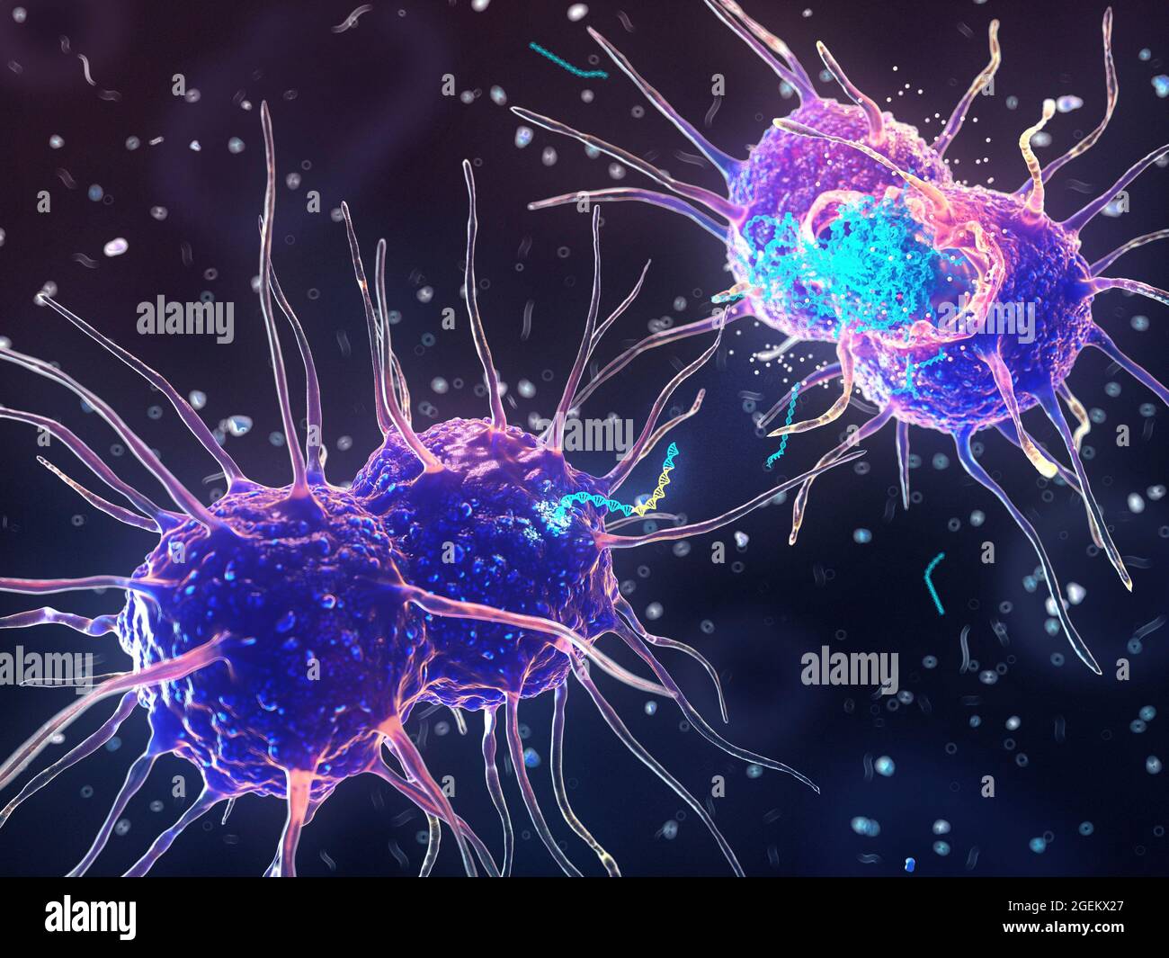 Bacterial transformation, illustration Stock Photo