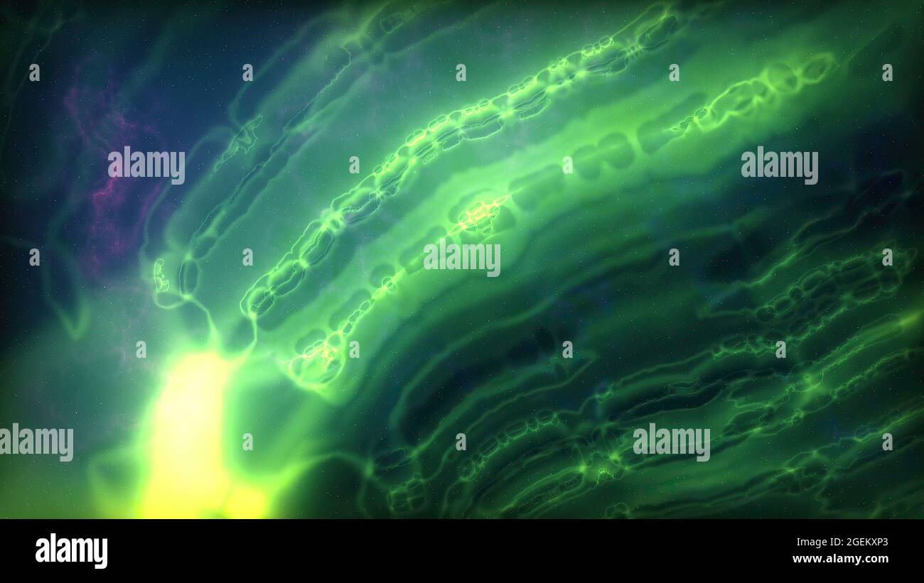 Plant cell microscope onion hi-res stock photography and images - Alamy