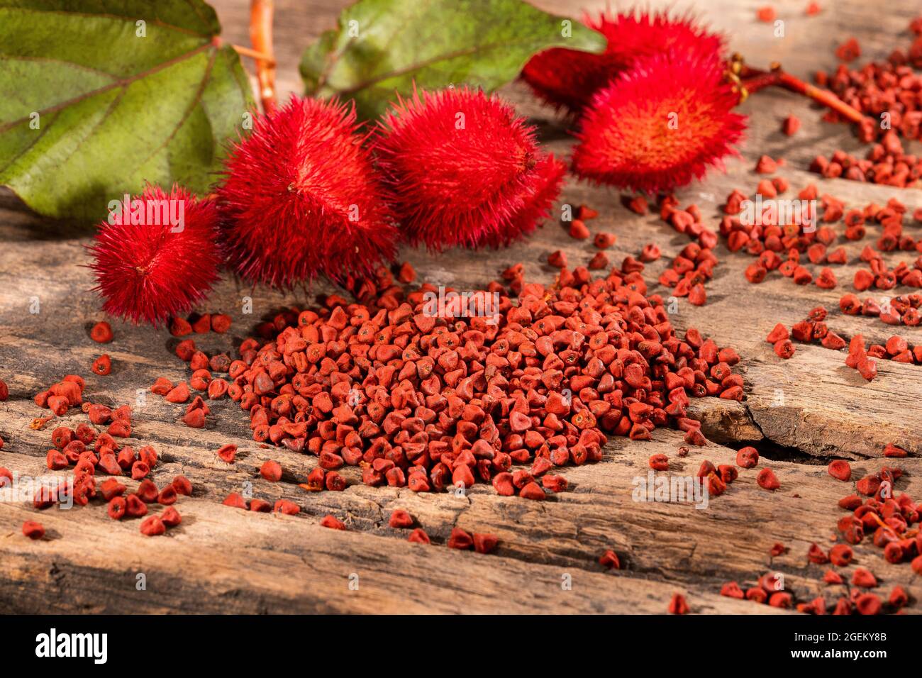 Natural red pigment from annatto seeds - Bixa orellana Stock Photo