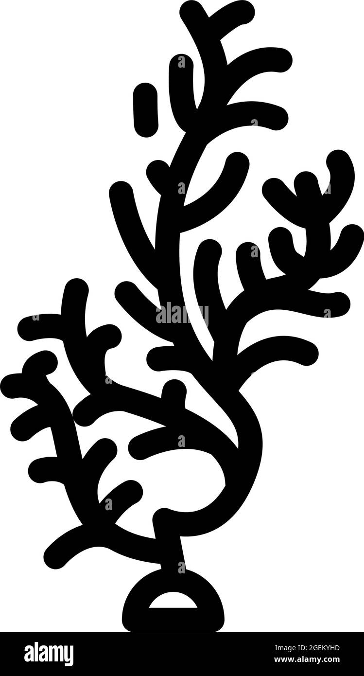 cladophora glomerata seaweed line icon vector illustration Stock Vector