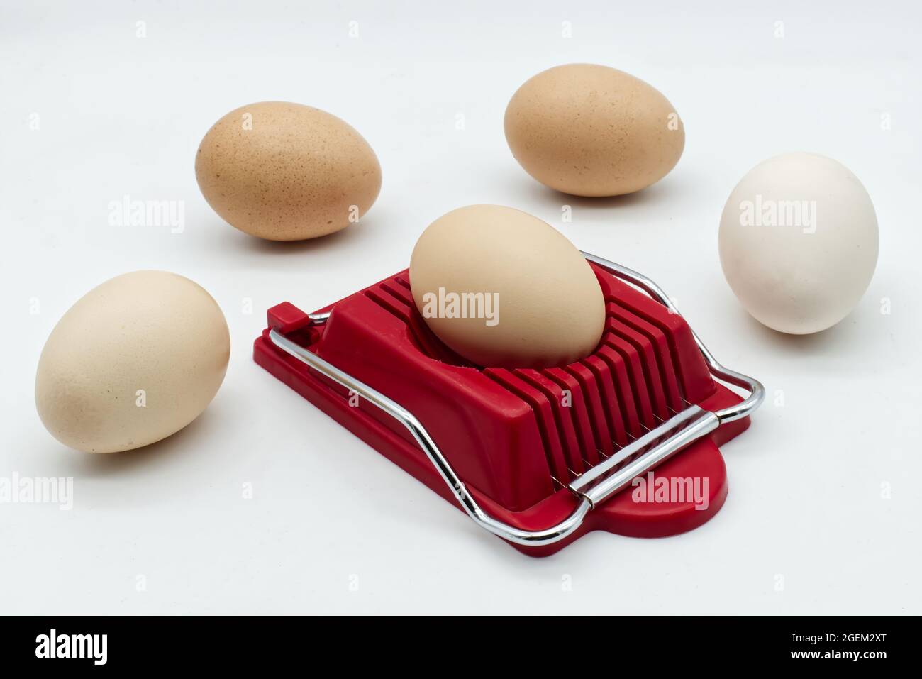 Household device for slicing eggs. Hard-boiled eggs slicer tool. Stock Photo