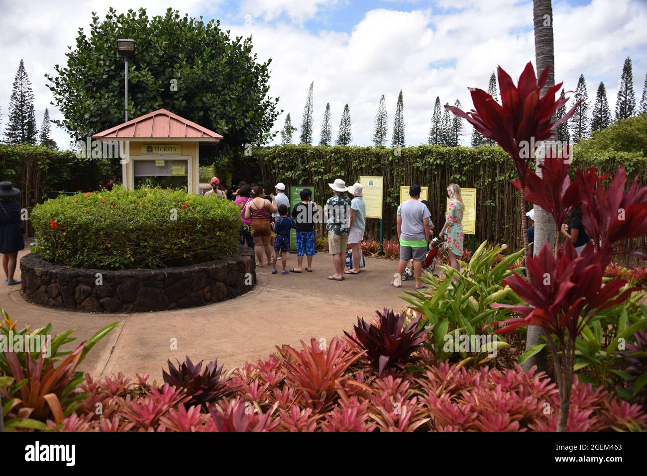 Oahu HI U.S.A. 6/3&6/2021. Dole Plantation. Gardens. Pineapple Express