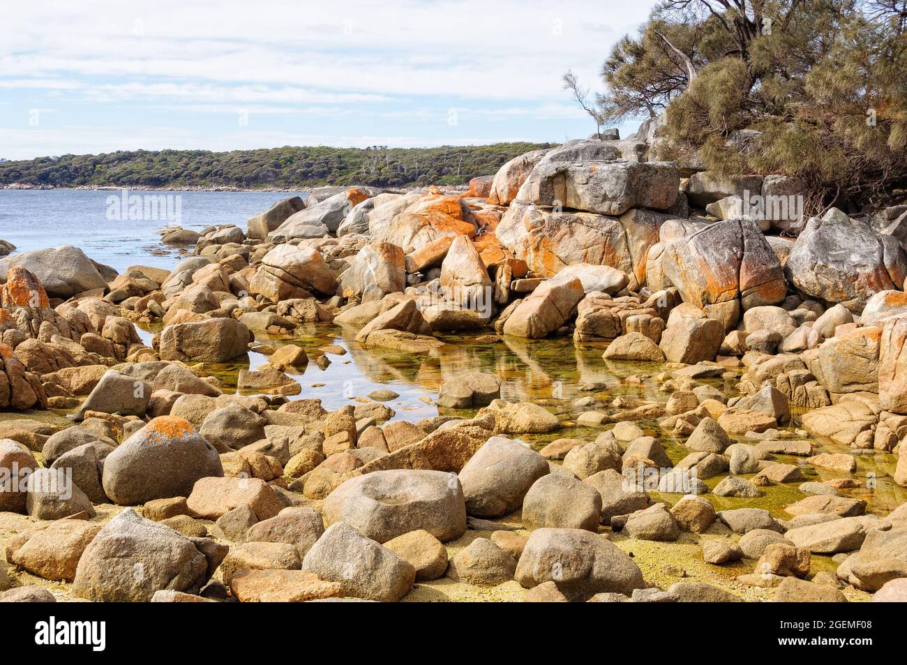 Granite boulders draped in orange lichen - Binalong Bay, Tasmania, Australia Stock Photo
