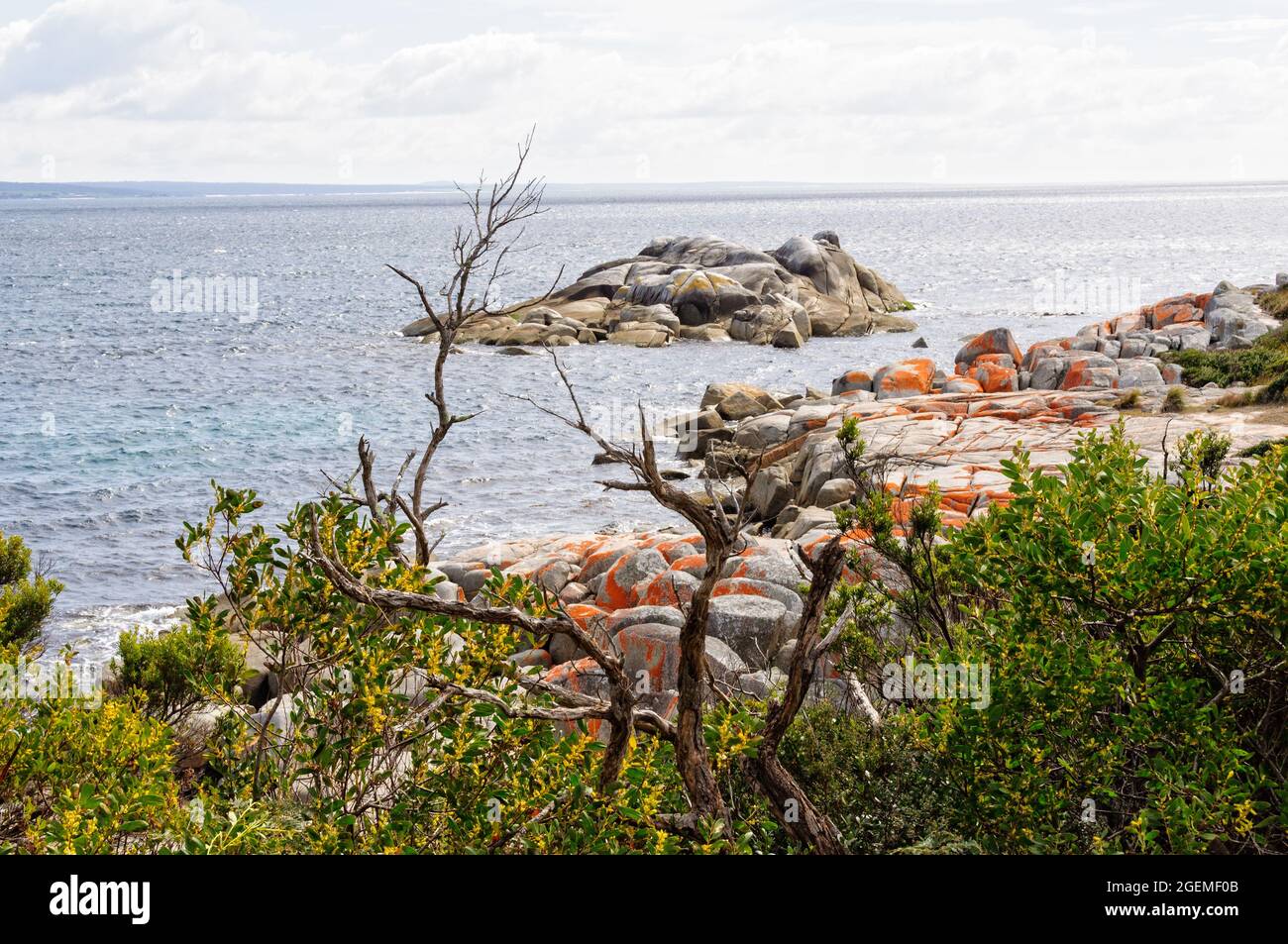 Granite boulders draped in orange lichen - Binalong Bay, Tasmania, Australia Stock Photo