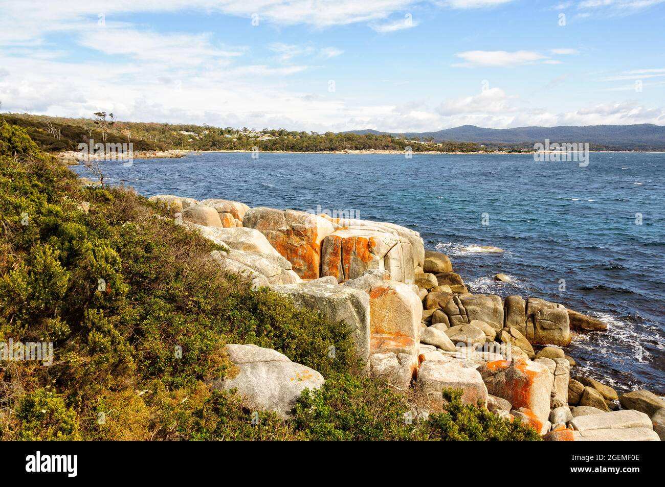 Granite boulders draped in orange lichen - Binalong Bay, Tasmania, Australia Stock Photo
