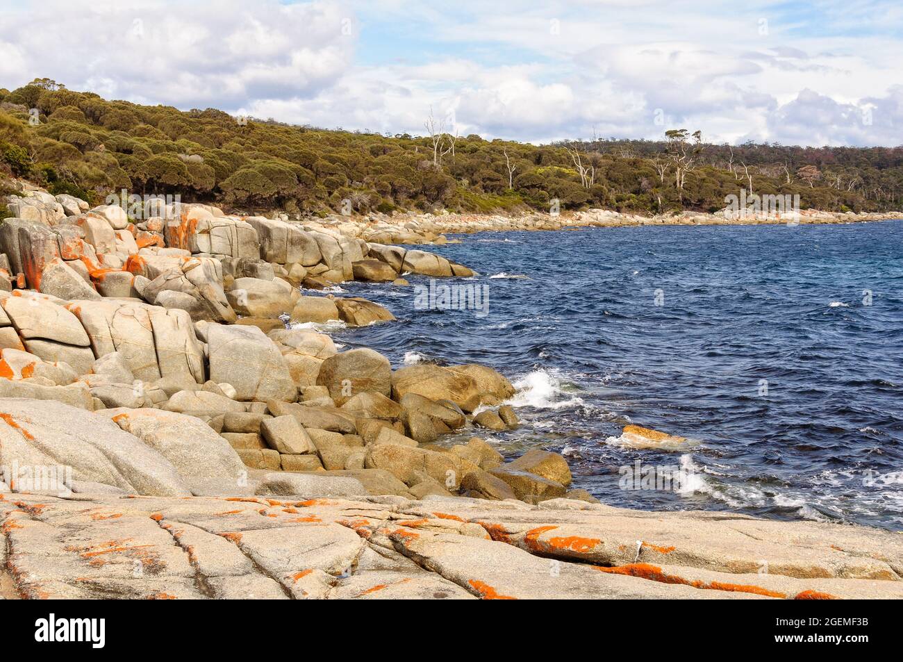 Granite boulders draped in orange lichen - Binalong Bay, Tasmania, Australia Stock Photo