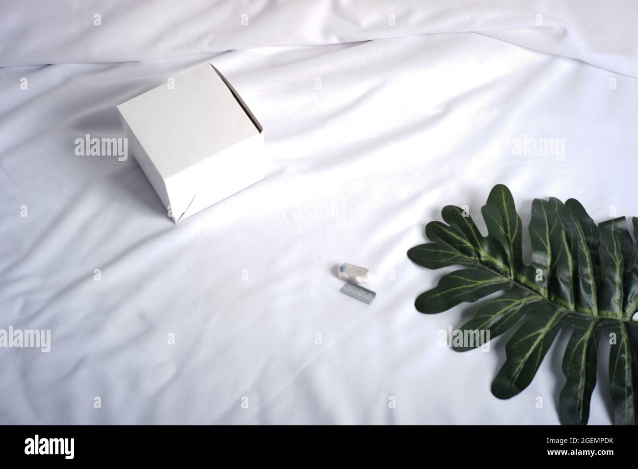green leaf and empty white box on a white cloth background. minimalist ...