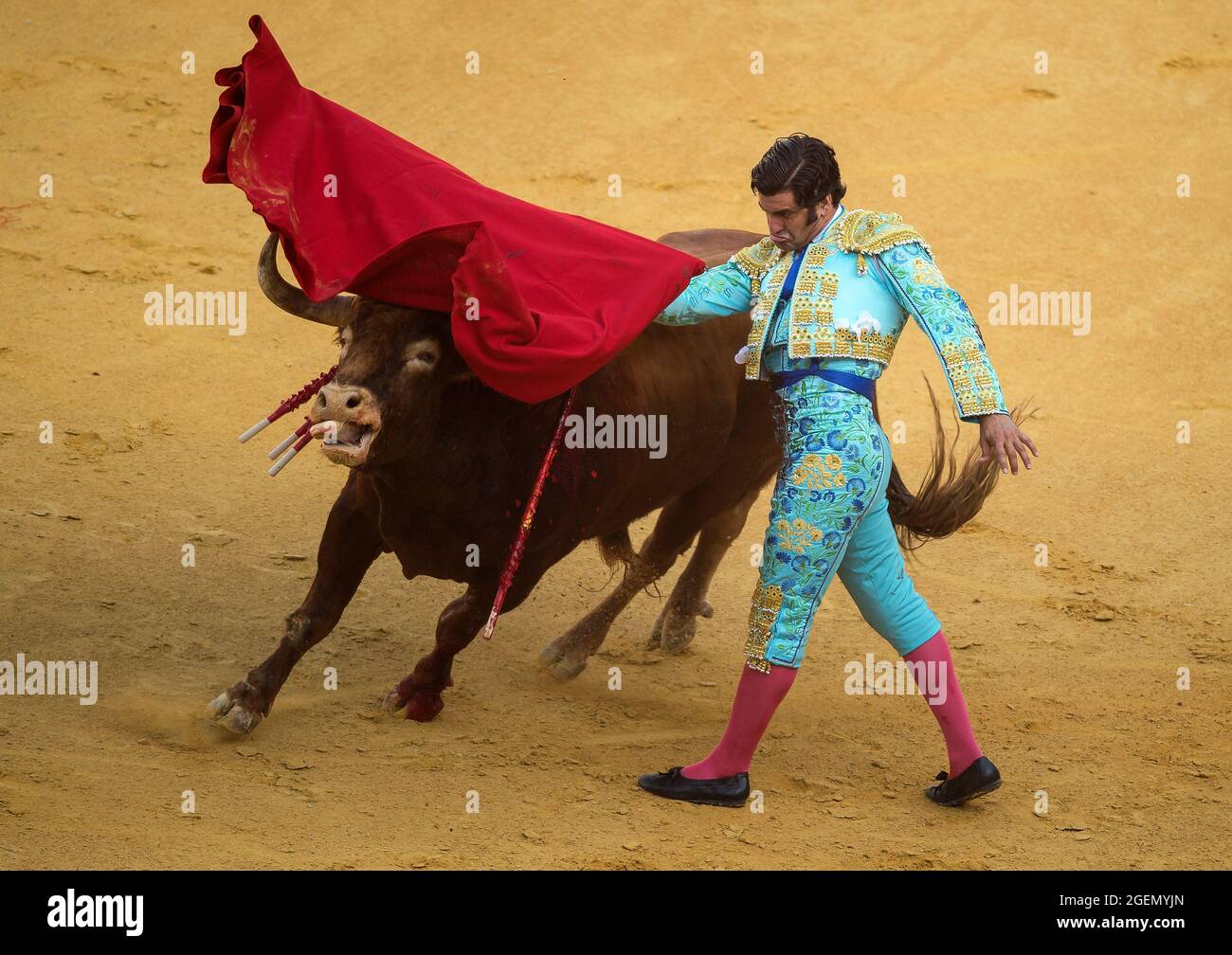 Malaga, Spain. 20th Aug, 2021. Spanish bullfighter Morante de la Puebla  performs a pass to a bull during a 'Picassiana' bullfight at La Malagueta  bullring. Bullfighting returns to Malaga as part of
