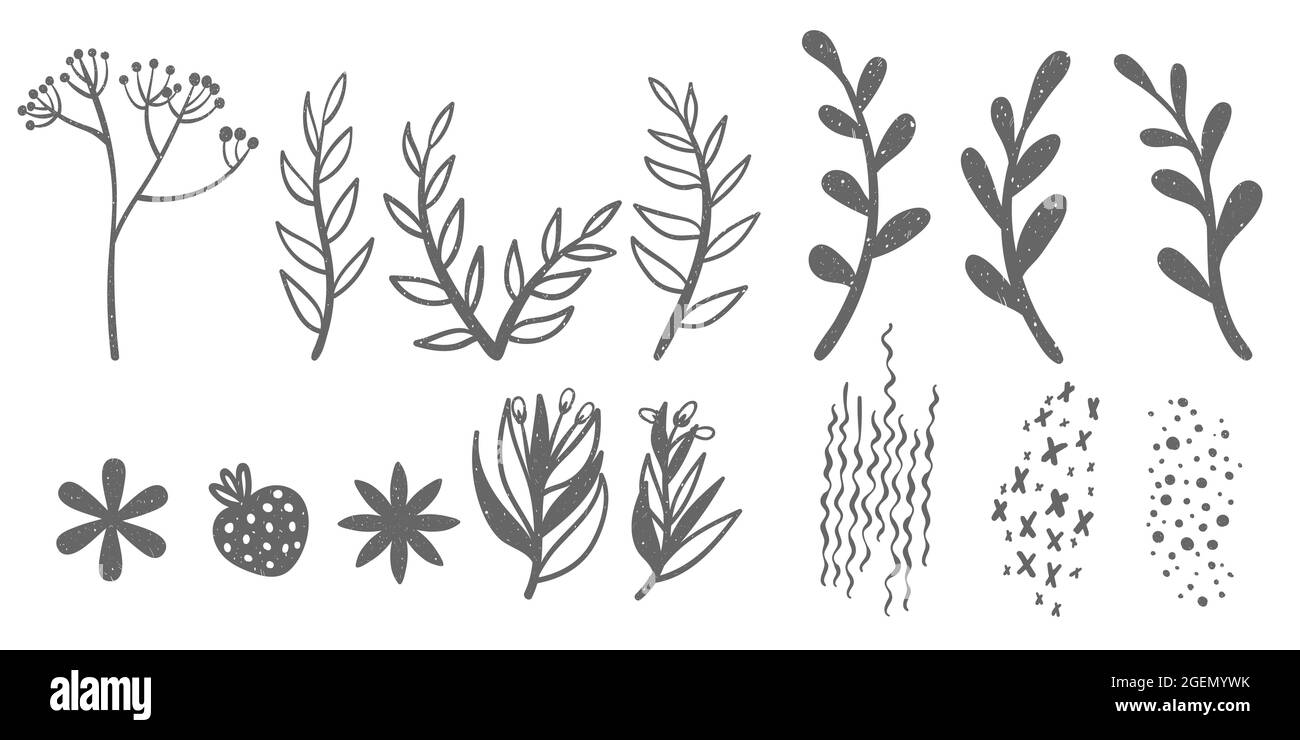 Set of hand drawn shapes and doodle floral design elements. Botany ...