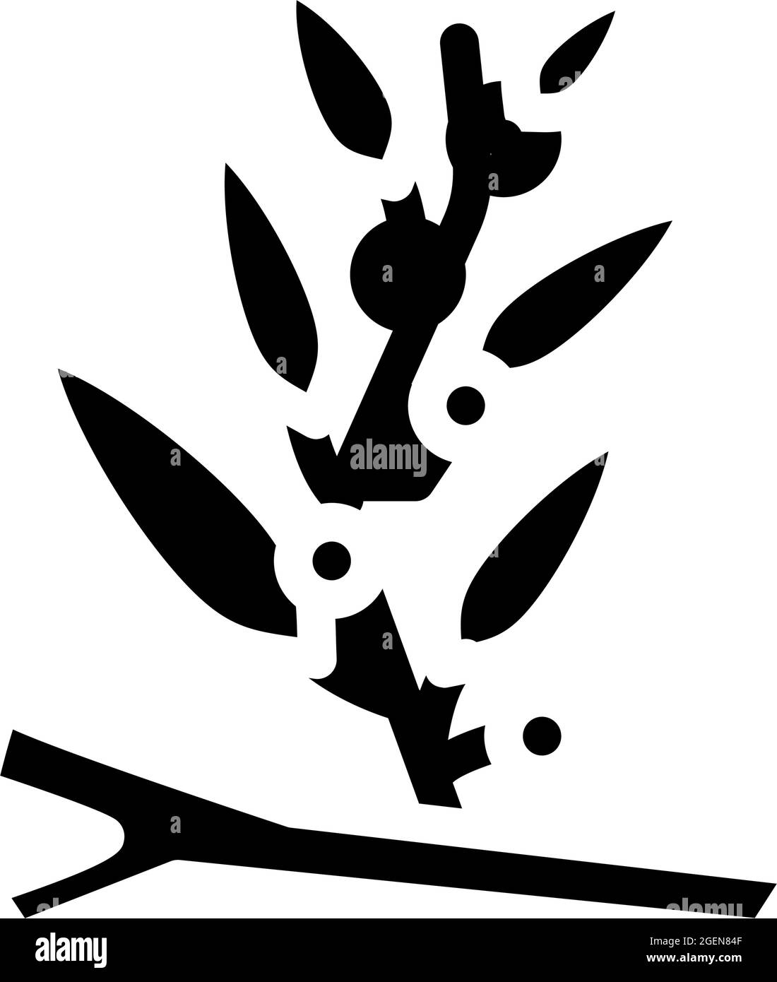 sargassum seaweed glyph icon vector illustration Stock Vector
