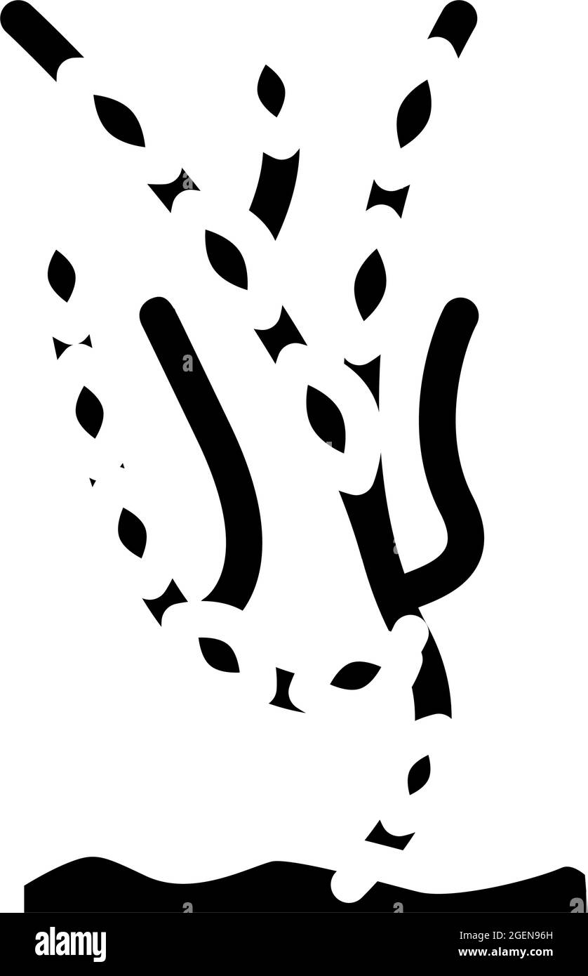 ascophyllum knotty seaweed glyph icon vector illustration Stock Vector