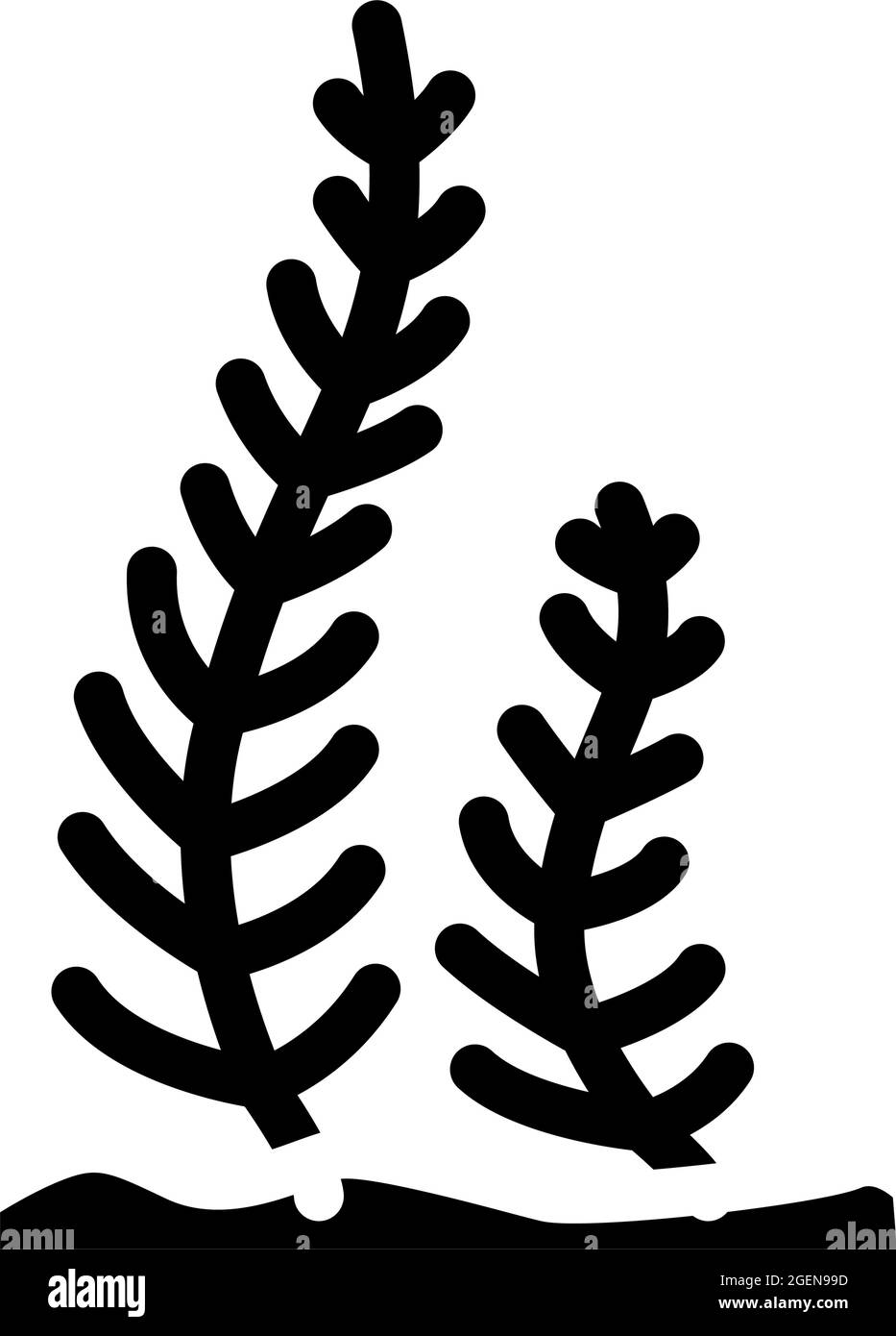caulerpa taxifolia seaweed glyph icon vector illustration Stock Vector