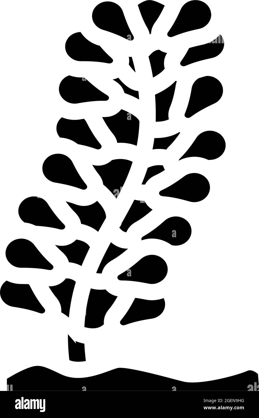 caulerpa lentillifera seaweed glyph icon vector illustration Stock Vector