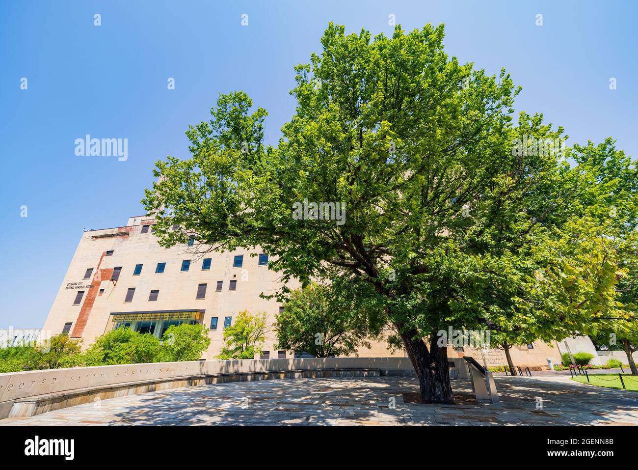 The Survivor Tree 