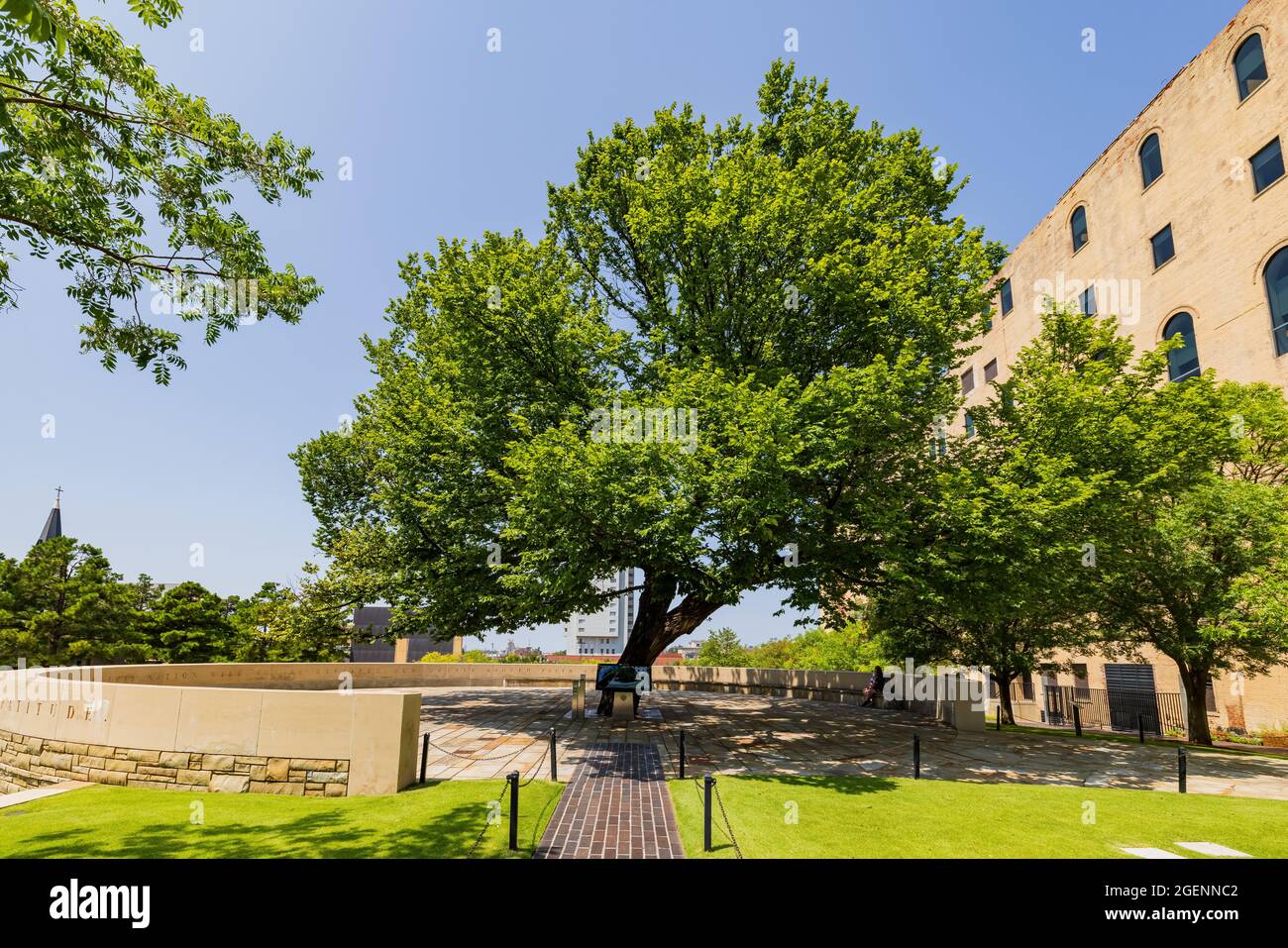 Survivor tree memorial hi-res stock photography and images - Alamy