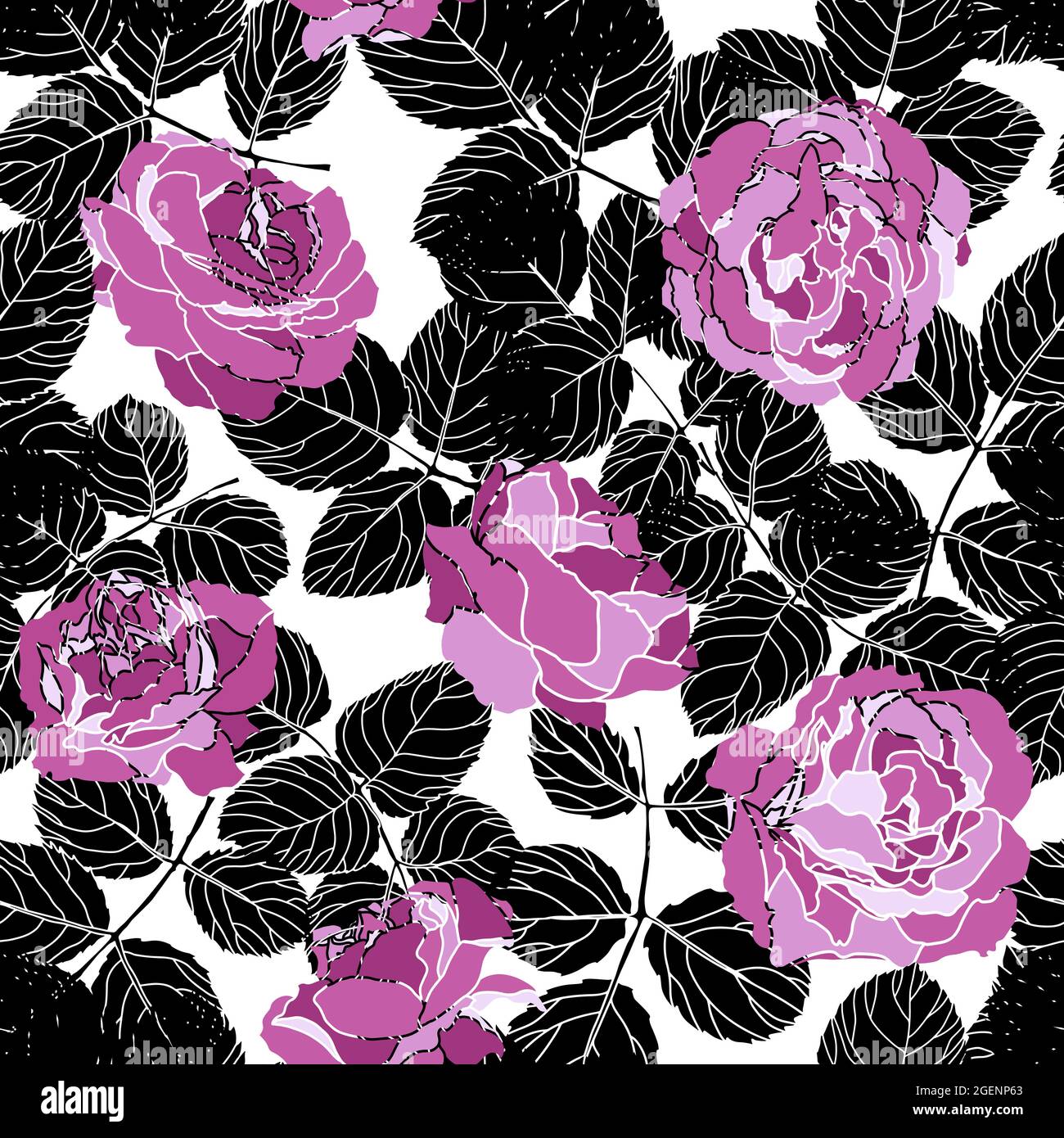 Repeat flowering rose Stock Vector Images - Alamy