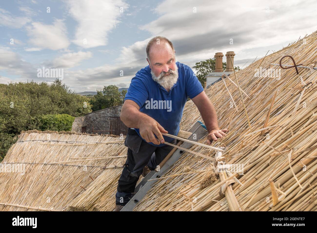 Fenit, Kerry, Ireland. 19th August, 2021. Master thatcher, Richard Ó Loideoin  working at the traditional craft of thatching on a roof at Chapeltown n Stock Photo