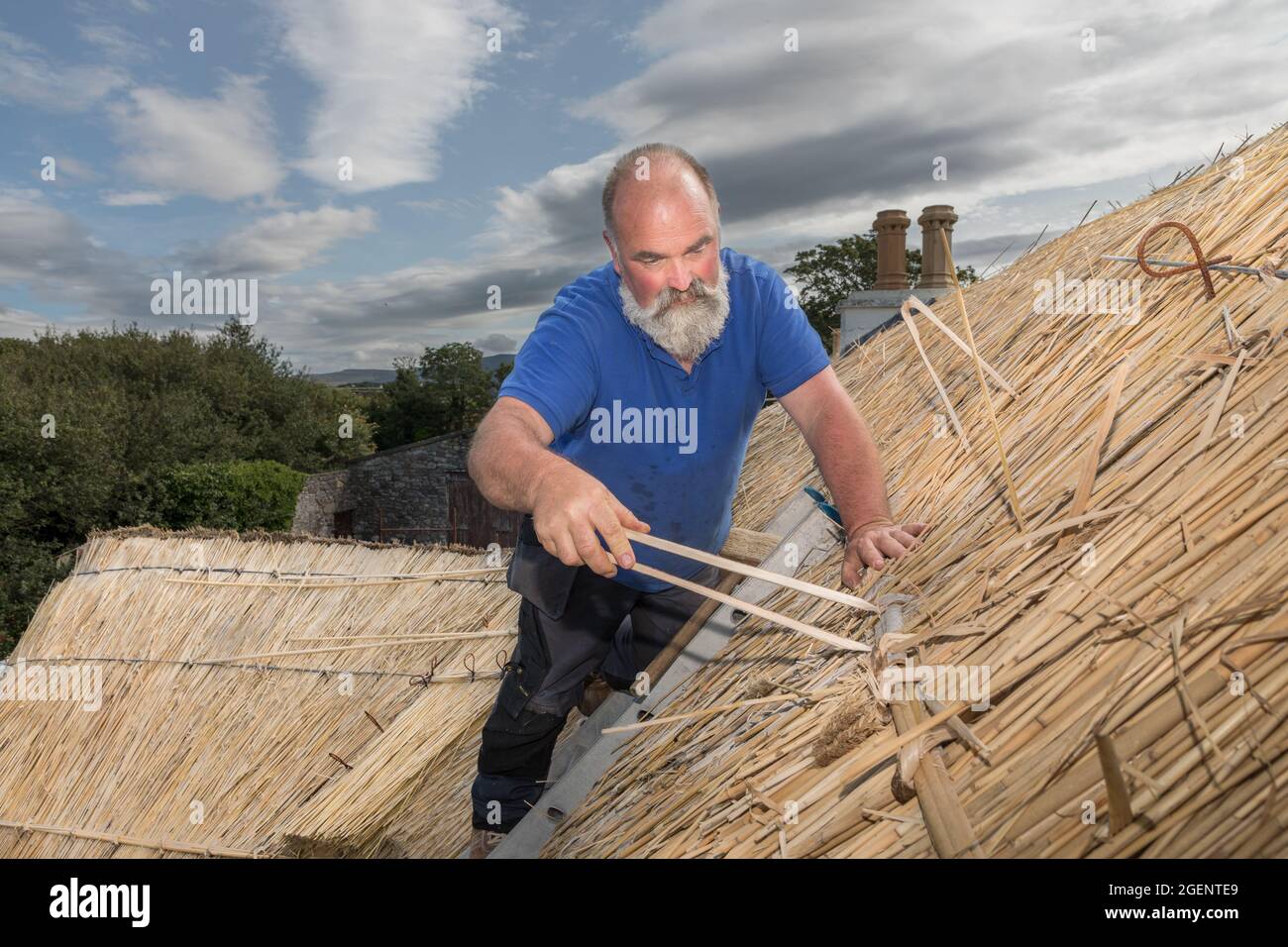 Fenit, Kerry, Ireland. 19th August, 2021. Master thatcher, Richard Ó Loideoin  working at the traditional craft of thatching on a roof at Chapeltown n Stock Photo