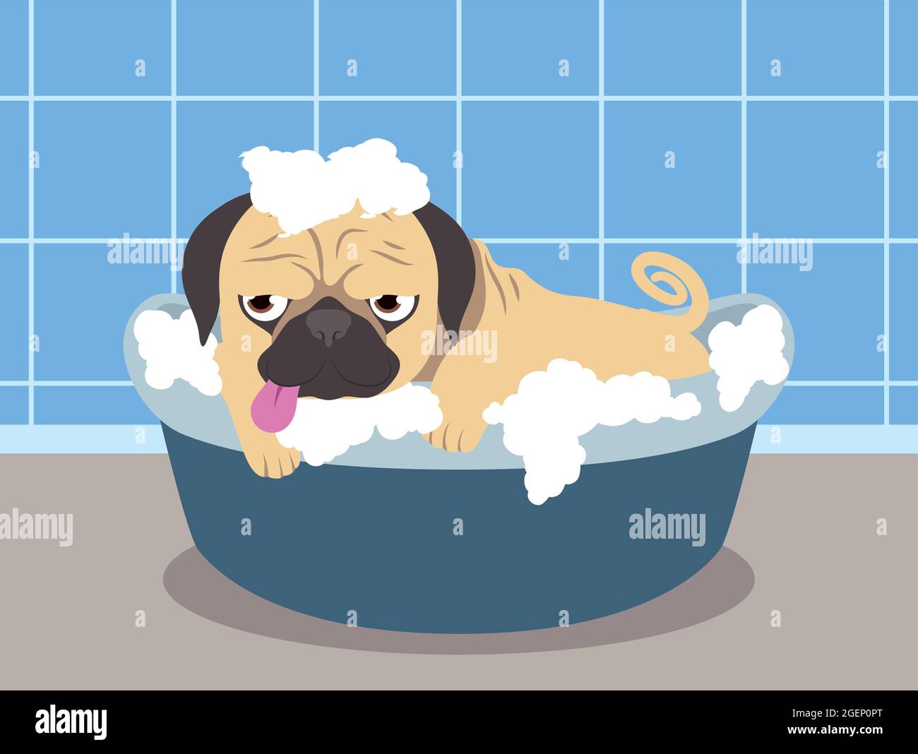 Pug in clearance bathtub