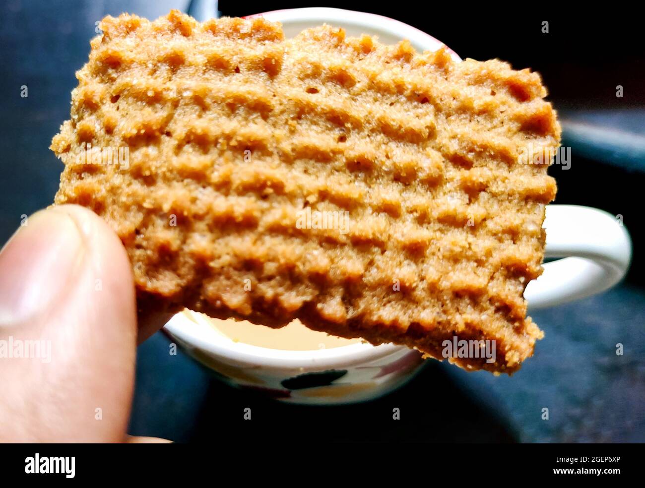 Wheat (Atta) biscuit, cookies, white flour biscuit. Indian biscuits popularly known as Chai