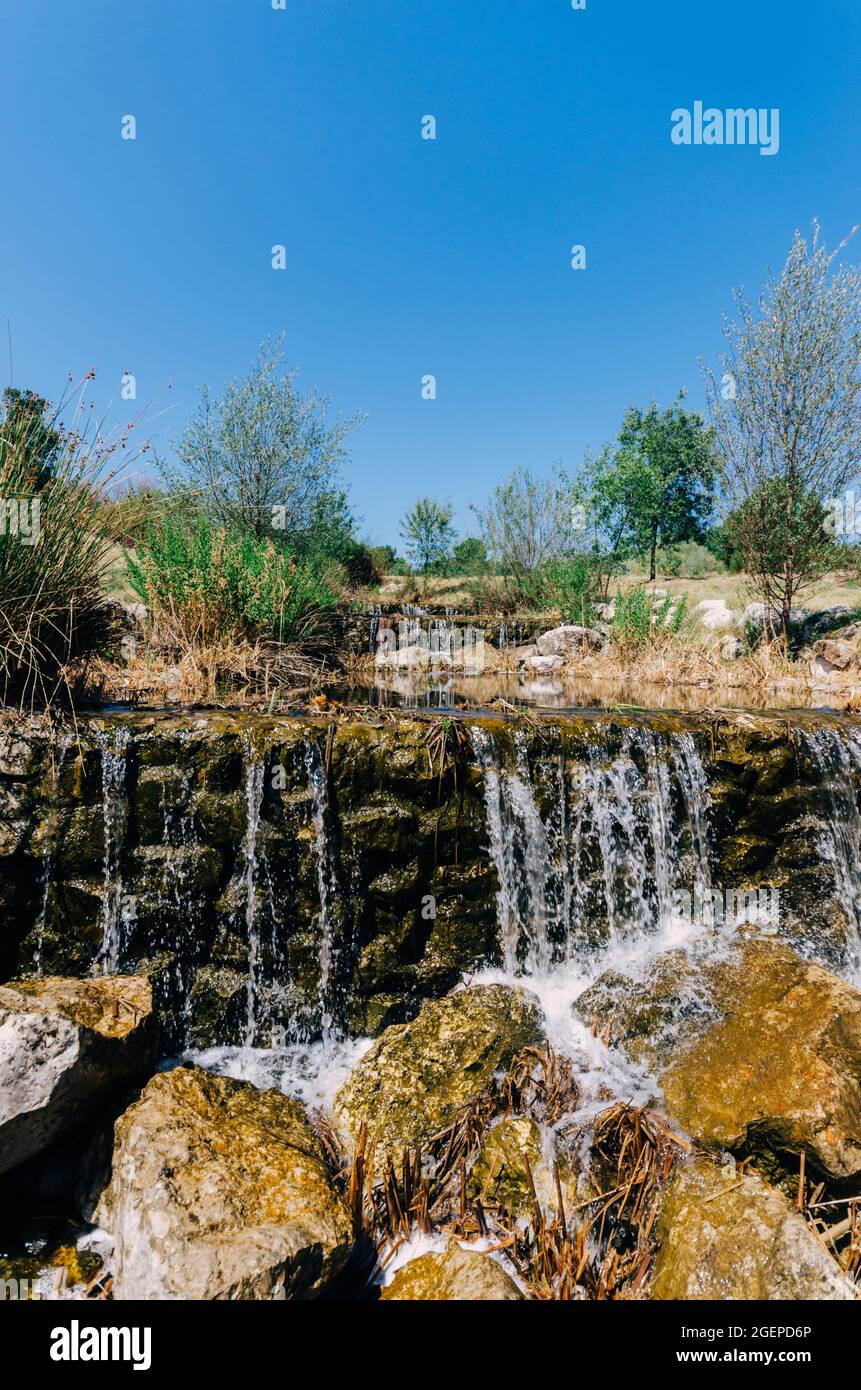 Vertical shot of a small waterfall surrounded by trees Stock Photo - Alamy