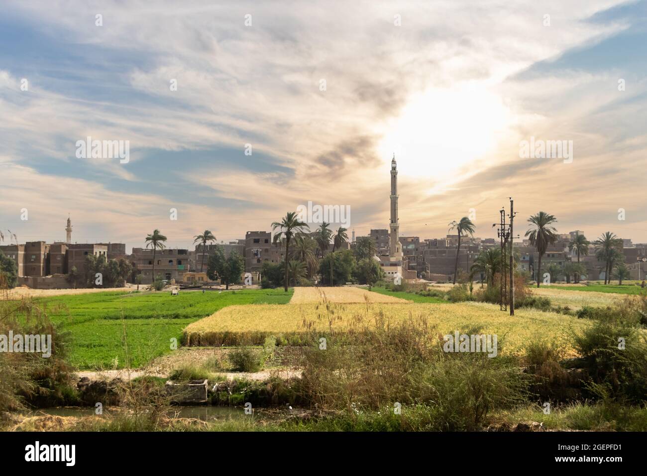 Agriculture in upper Egypt by the Nile river wit dramatic sunset Stock ...
