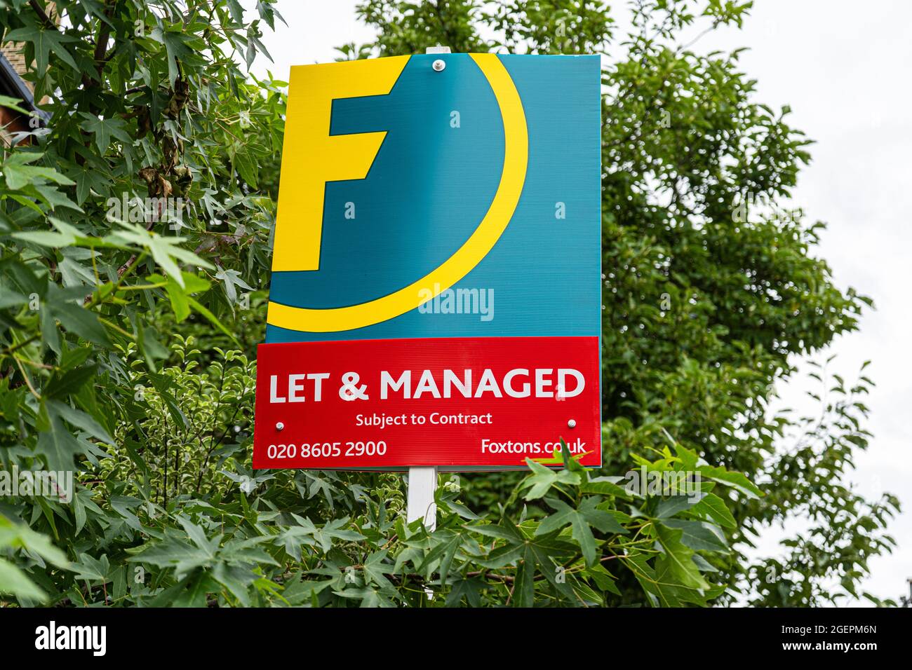 London 21 August 2021. Terraced house let and managed by Foxtons estate agent Stock Photo Alamy