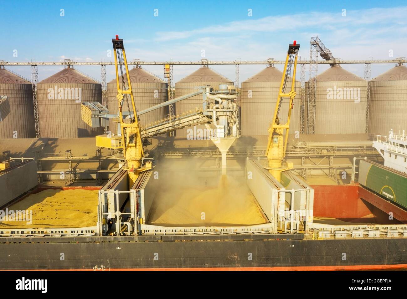 Loading grain into holds of sea cargo vessel through an automatic line