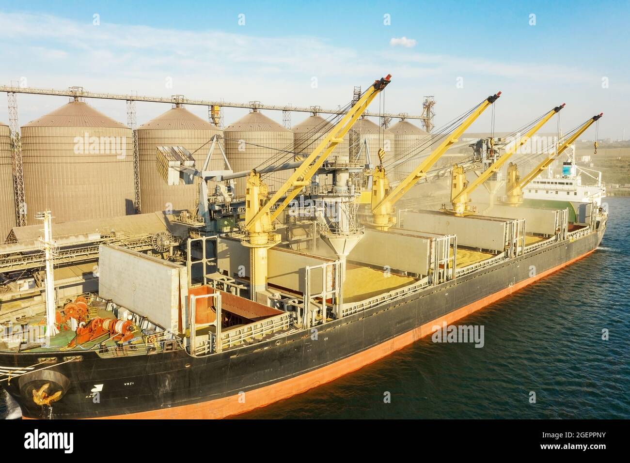 Loading grain into holds of sea cargo vessel through an automatic line