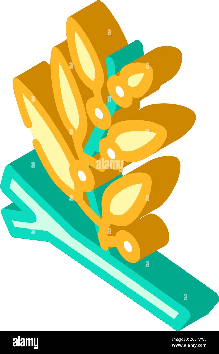 sargassum seaweed isometric icon vector illustration Stock Vector