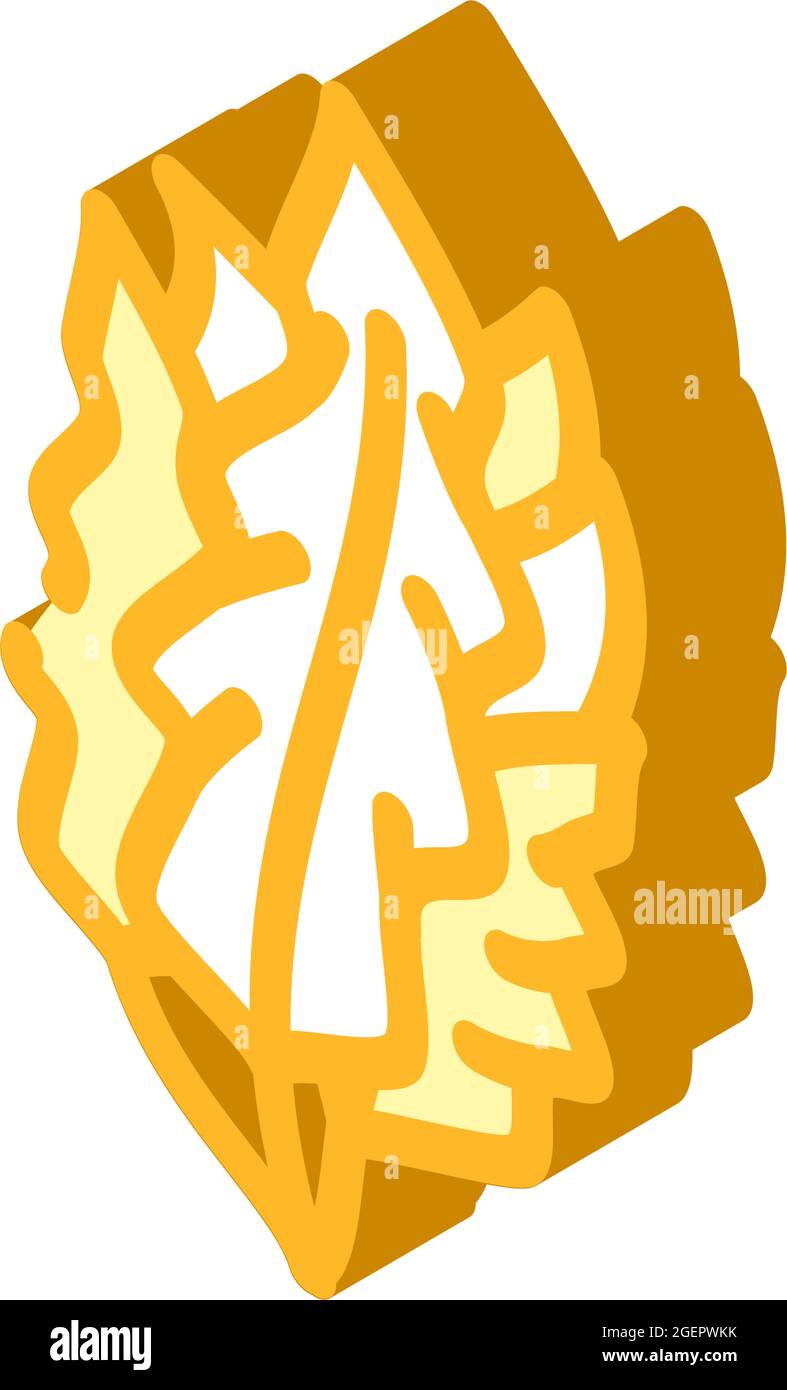 japanese kelp seaweed isometric icon vector illustration Stock Vector