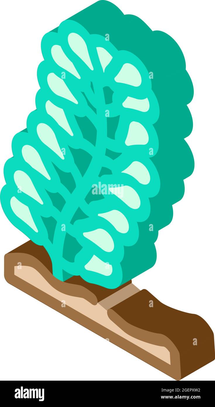 caulerpa lentillifera seaweed isometric icon vector illustration Stock Vector