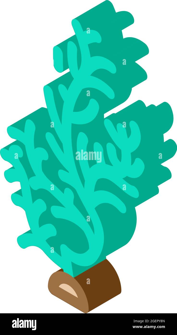 cladophora glomerata seaweed isometric icon vector illustration Stock Vector