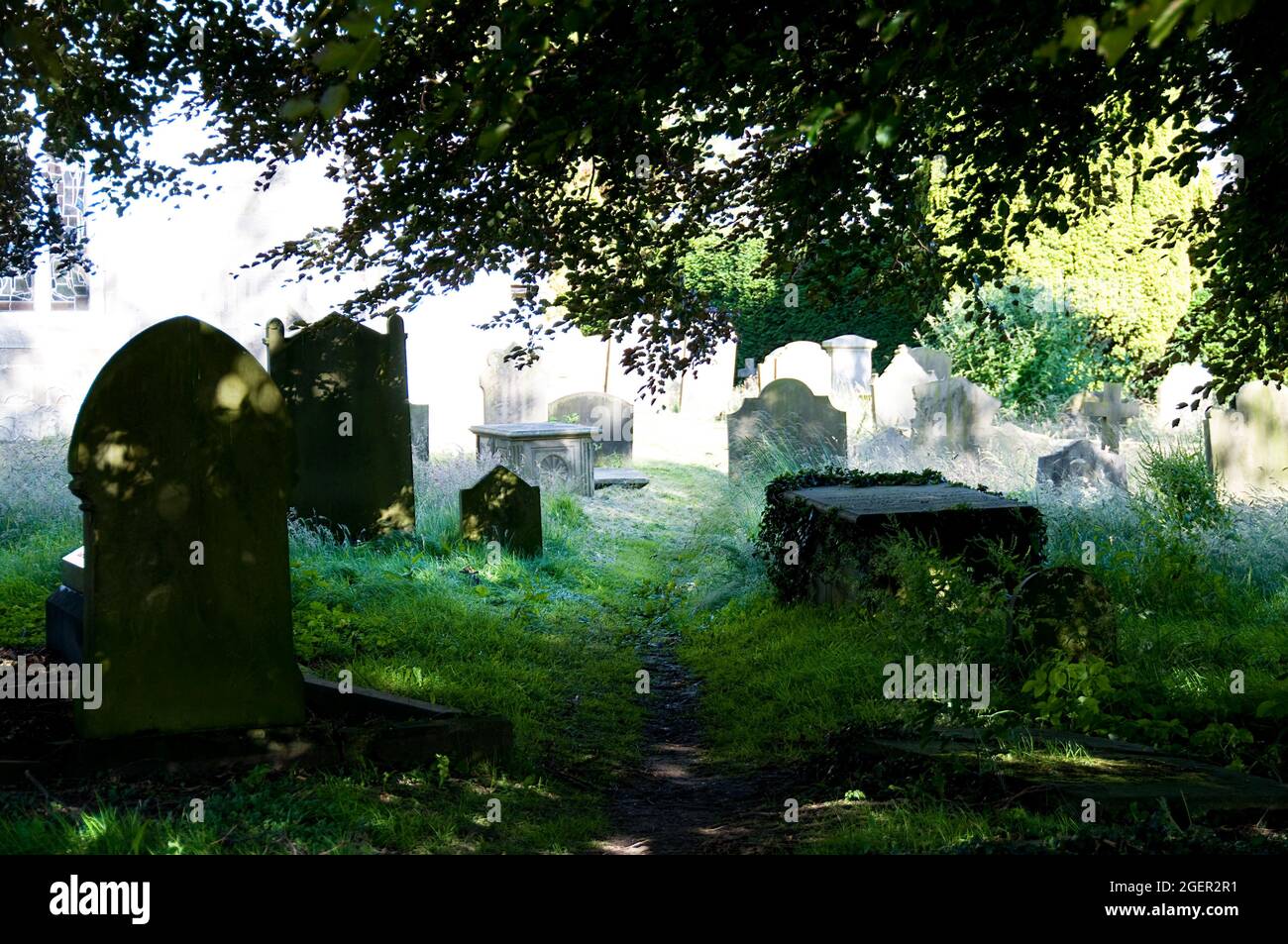 All Saints' Church graveyard, Ripley on 8th July 2008 Stock Photo - Alamy