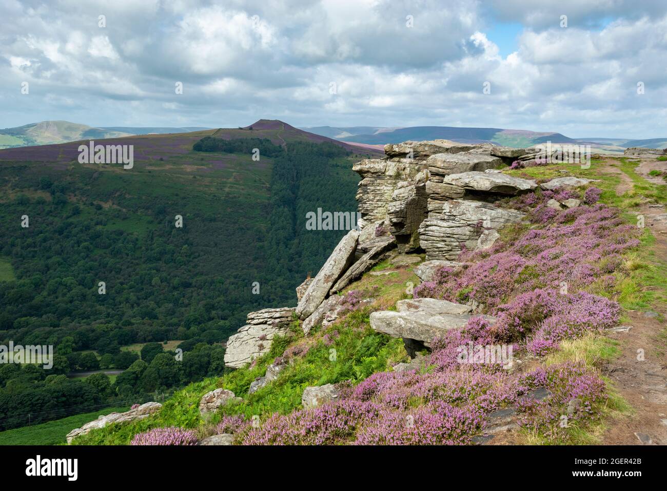 Bamford Edge and Win Hill with heather blooming between the rocks, Peak District national park, Derbyshire, England. Stock Photo