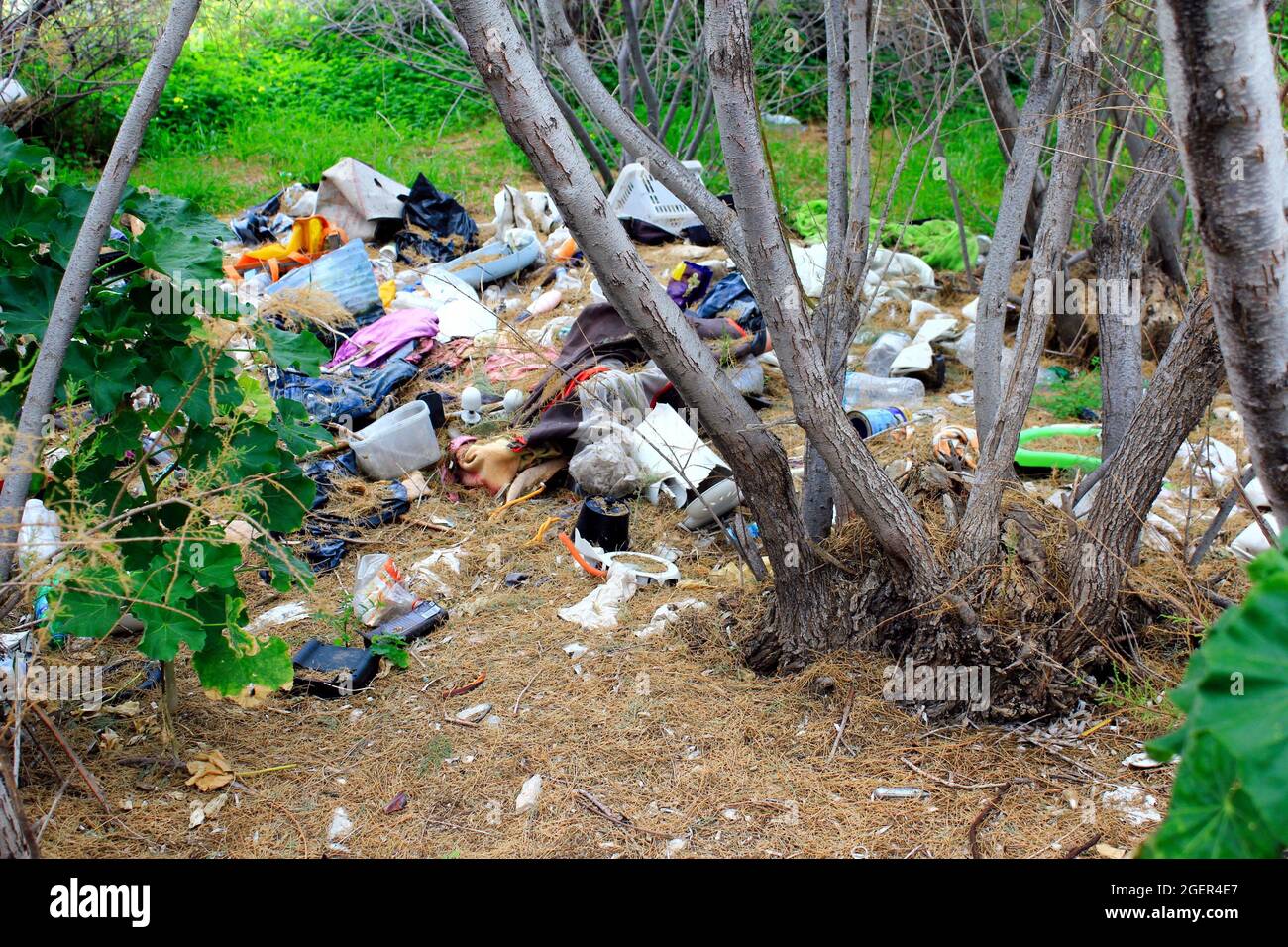 plastic bag with garbage hanging on tree in forest near the river.  pollution ecosystem problem , ecology environment trash Stock Photo - Alamy