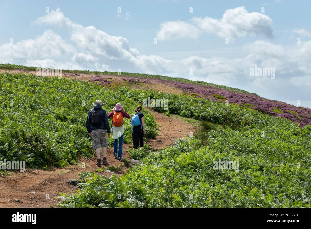 Family walking on Bamford Moor on a beautiful sunny day in August. Peak District national park, Derbyshire, England. Stock Photo