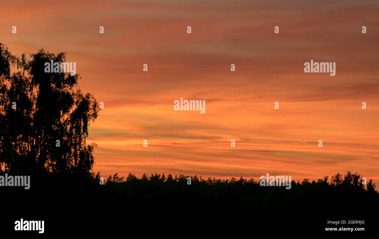 colorful sunset skies and black tree silhouettes, summer time Stock ...