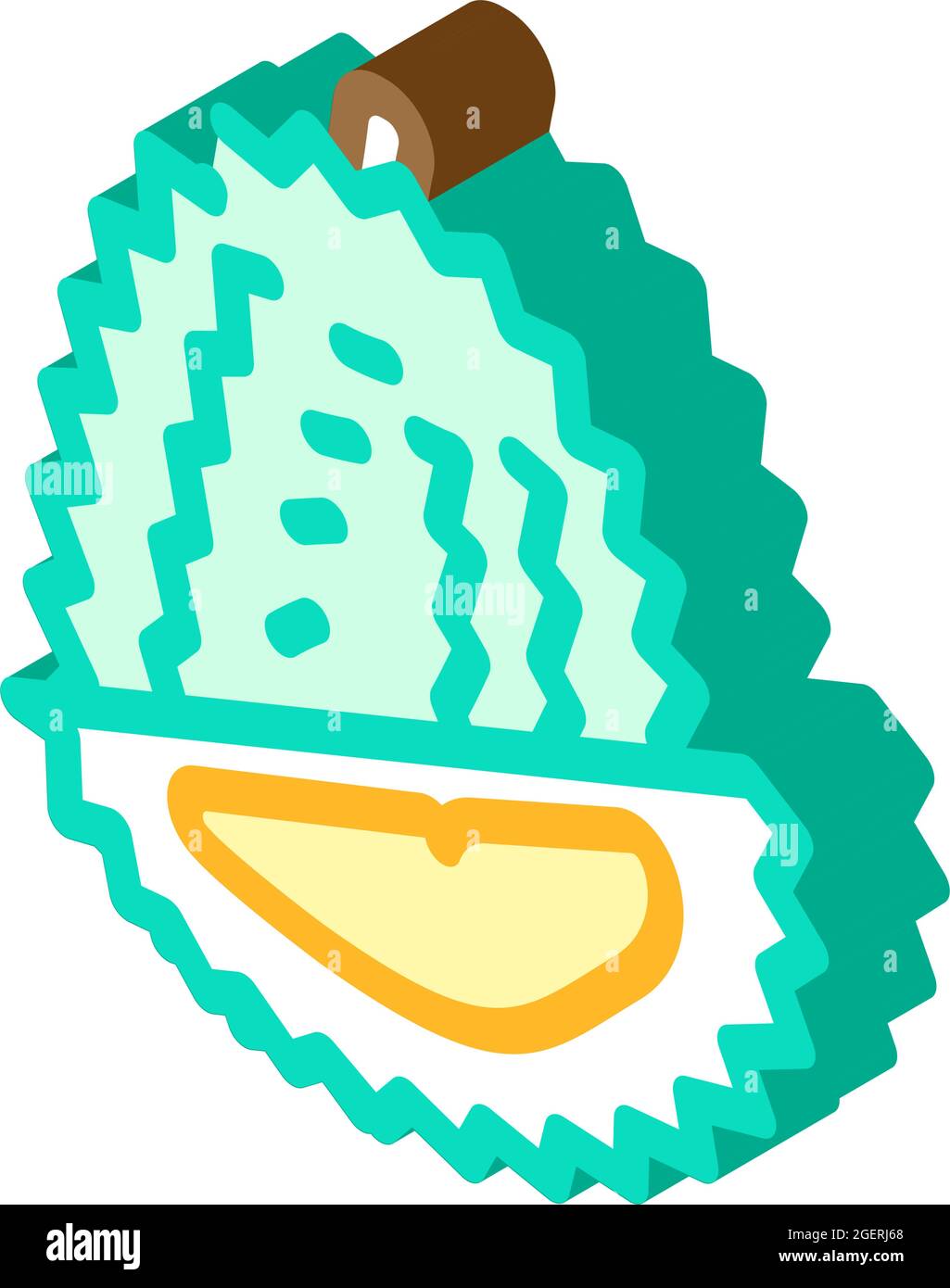 durian fruit isometric icon vector illustration Stock Vector Image ...