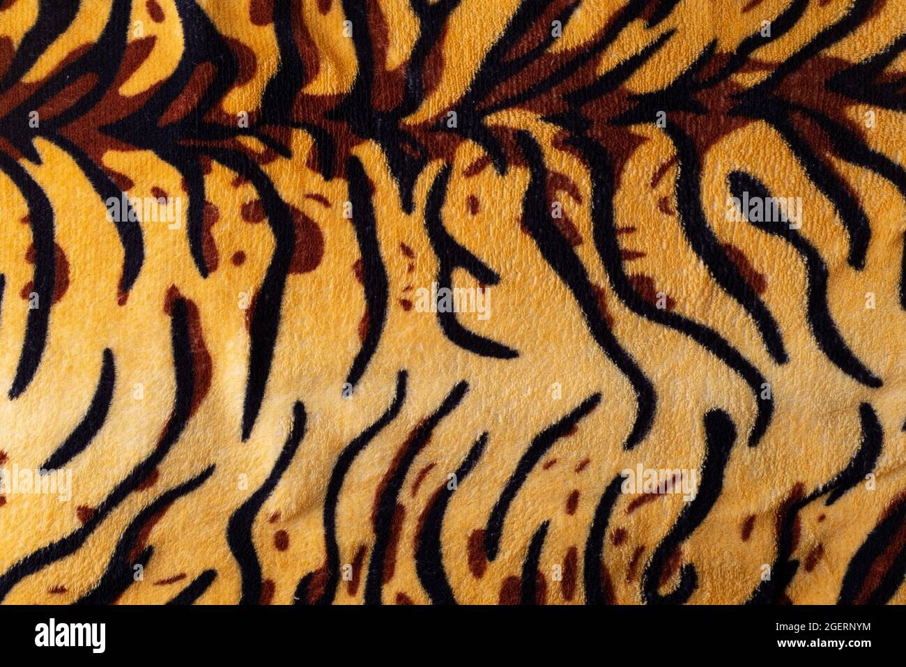 tiger print texture close up, top view, animal pattern Stock Photo