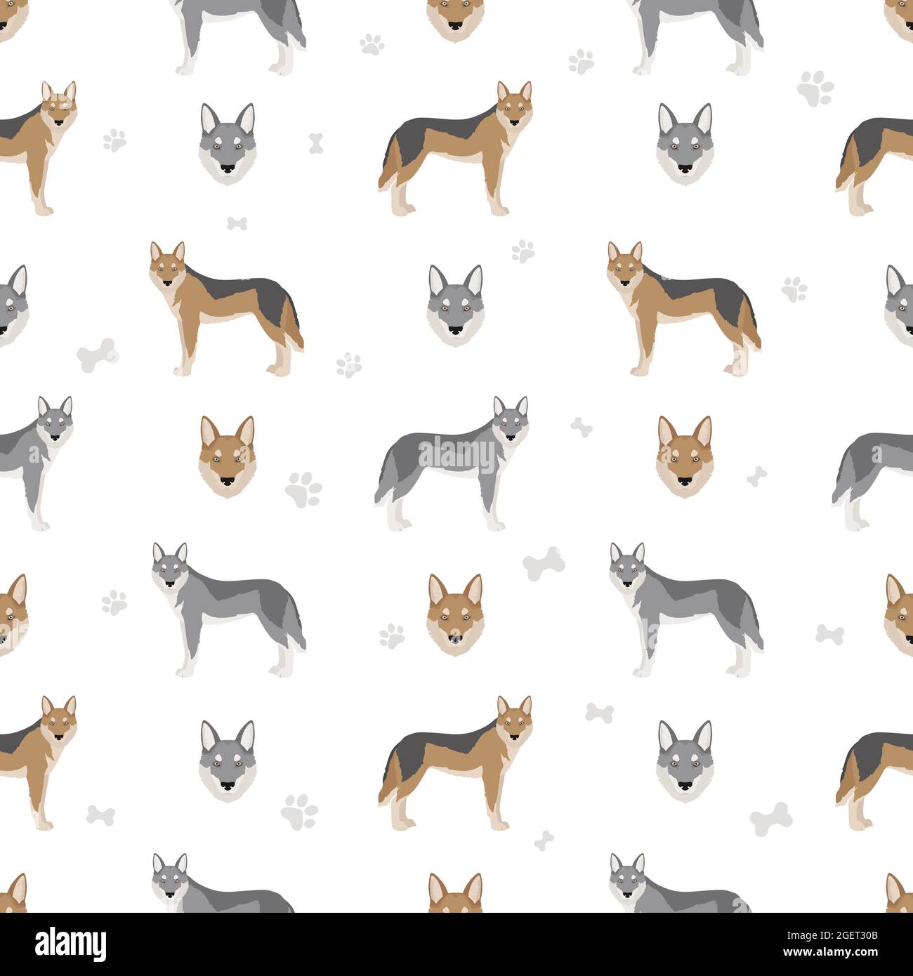 Czechoslovakian wolfdog seamless pattern. Different poses, coat colors set.  Vector illustration Stock Vector