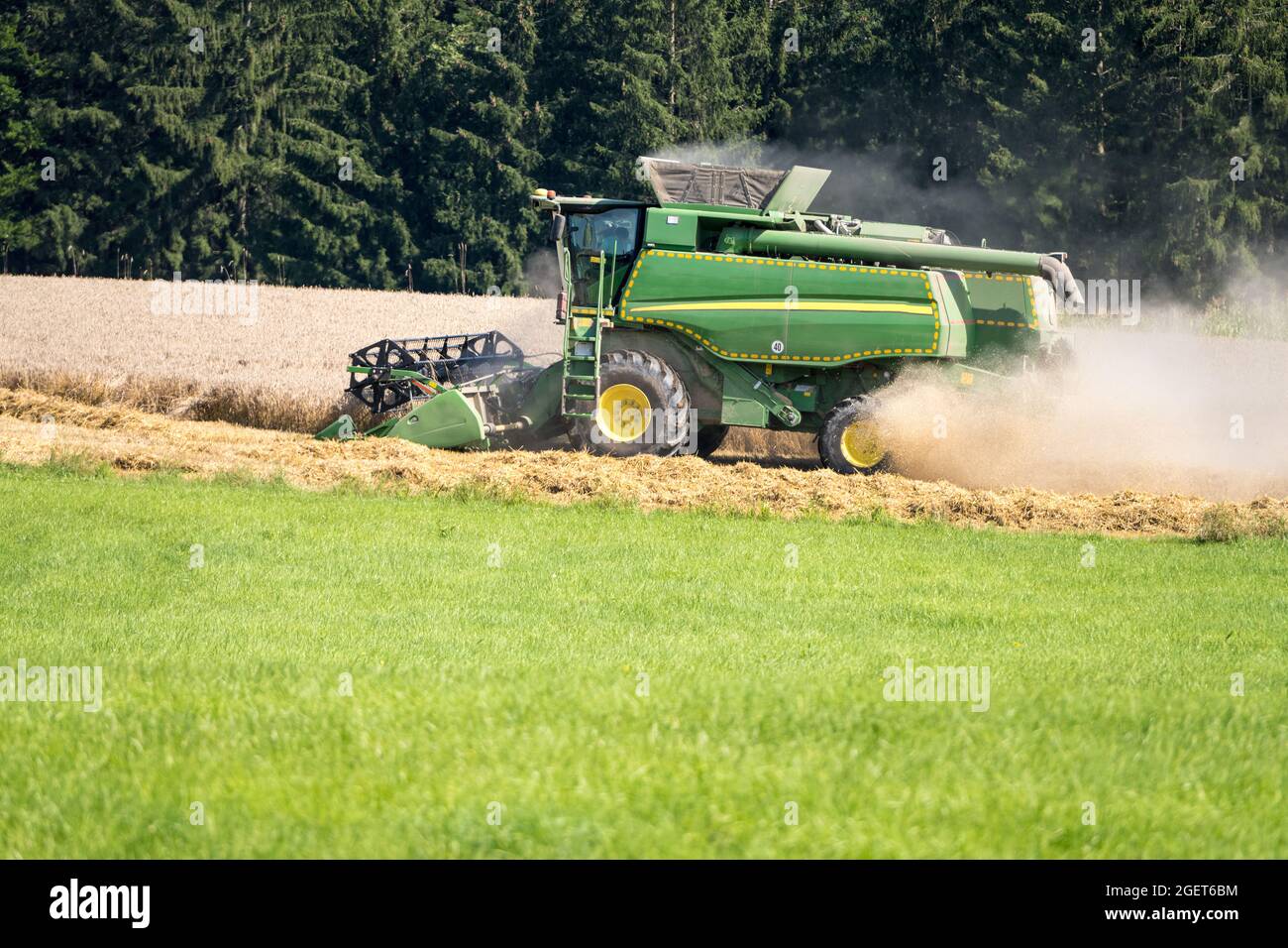 the combine harvester in the field brings in the grain harvest. In midsummer during the wheat harvest it is very dusty. Farmers in Bavaria, Germany Stock Photo
